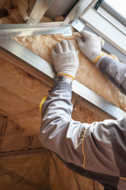 Best Local Insulation Services  in Cockrell Hill, TX