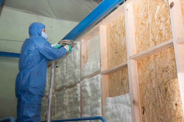 Best Fiberglass Insulation  in Cockrell Hill, TX