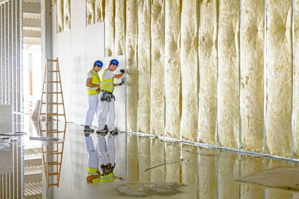 Insulation Replacement Services in Cockrell Hill, TX